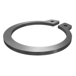 [196-0387] RING RETAINING